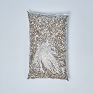 Giant Striped Sunflower